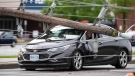 A utility pole lies across the front of a vehicle as motorists wait for crews to make sure they can leave safely, after power lines and utility poles came down onto the roadway during a major storm, on Merivale Road in Ottawa, on Saturday, May 21, 2022. (THE CANADIAN PRESS/Justin Tang)