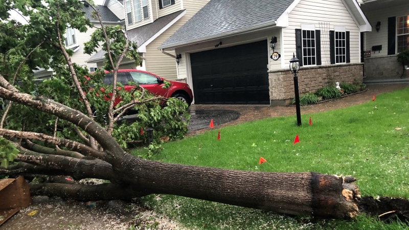 Damage in Barrhaven on Calaveras Avenue. The car survived the tree on top with hardly a scratch. (Photo courtesy of Denise MacIsaac)