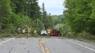 Firefighters clear fallen trees from Highway 105 in Chelsea, Que. ( Joel Haslam/CTV News Ottawa)