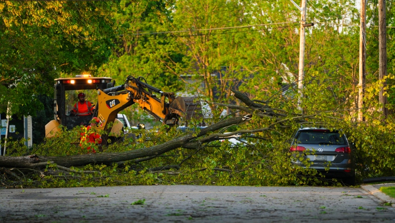 Crews remove a tree from a car following a major storm in Carleton Place, Ont. on Saturday, May 21, 2022. (THE CANADIAN PRESS/Sean Kilpatrick)
