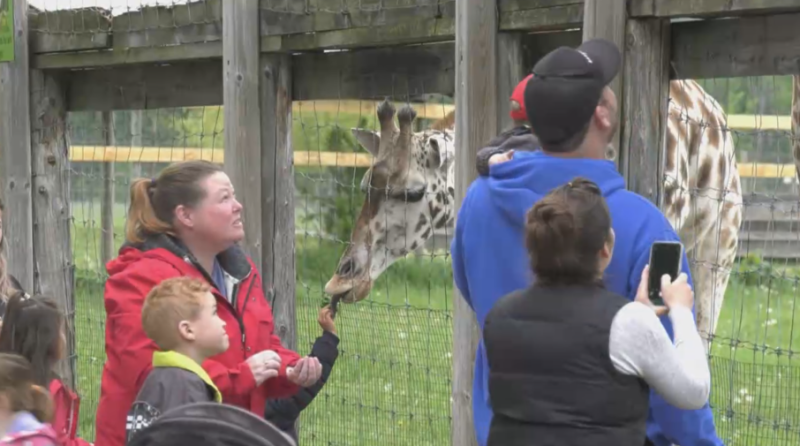 The Elmvale Zoo reopened for the season on the May long-weekend (Steve Mansbridge/CTV News Barrie) 