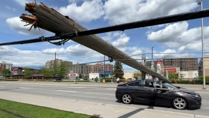 Hydro Ottawa 'crushed' by storm 