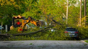 Crews remove a tree from a car following a major storm in Carleton Place, Ont. on Saturday, May 21, 2022. THE CANADIAN PRESS/Sean Kilpatrick 
