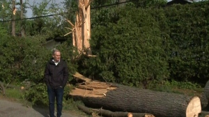 Richardson on storm damage, restoration efforts