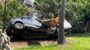 A tree sits on a car in Morin Heights following a storm in Quebec. (Rob Lurie/CTV News)