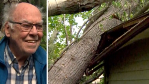 Massive trees fall on Ottawa man's home