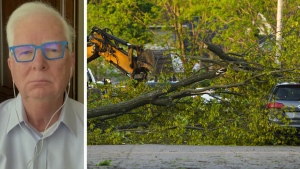 Here's why so many trees were uprooted