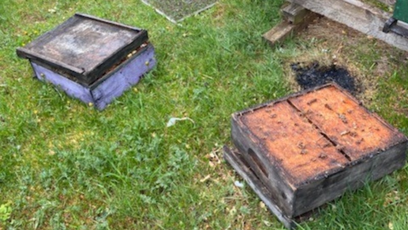 A beehive containing an active colony of bees from stolen from a property in Iris, P.E.I. Police say several pieces of the hive, including the top cover, were left behind. (P.E.I. RCMP)