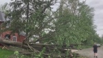 Mayor Watson update on storm cleanup