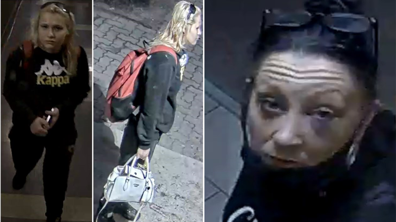 Winnipeg police released photos of two women they said are "people of interest" in the investigation into the homicide of Doris Trout, 25. (Winnipeg Police handout)