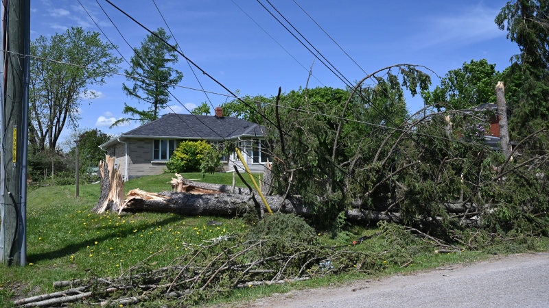 Snapped trees and down power lines lay on the ground in Uxbridge, Ont., on Tuesday, May 24, 2022, after a major storm hit parts of Ontario on Saturday, May 21, 2022, leaving extensive damage. THE CANADIAN PRESS/Jon Blacker