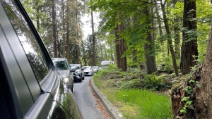 Traffic in Stanley Park on May 22, 2022. (Penny Daflos/Twitter)