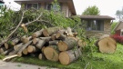 The aftermath of the Saturday May 21 storm is seen in Waterloo region on Tuesday May 24. (CTV Kitchener)