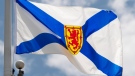 Nova Scotia's provincial flag flies on a flag pole in Ottawa on July 3, 2020. THE CANADIAN PRESS/Adrian Wyld