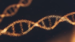 A strand of DNA is seen in this stock photo. (Unsplash)