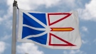 Newfoundland and Labrador's provincial flag flies on a flag pole in Ottawa, Friday, July 3, 2020. THE CANADIAN PRESS/Adrian Wyld
