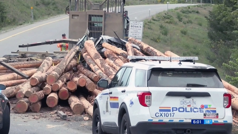  New details emerge after fatal logging crash 