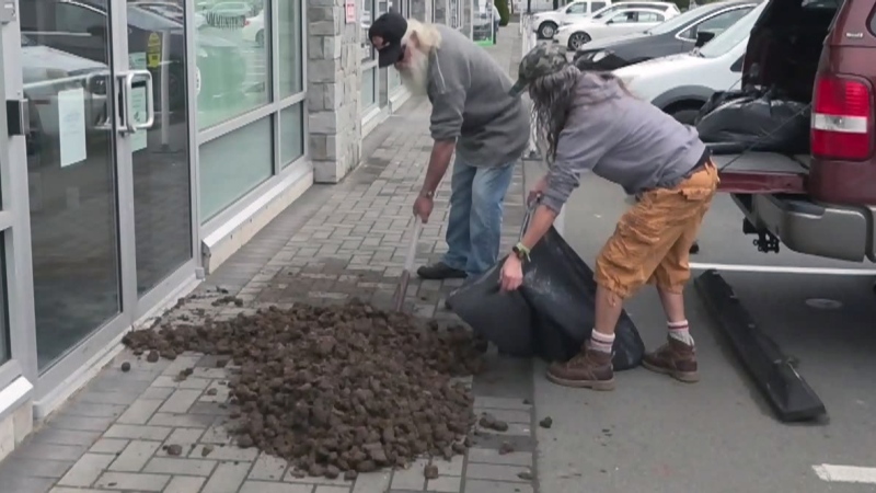  Protesters dump manure at B.C. premier's office 