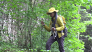 Zwena Gray, retracing part of the Underground Railroad, by walking 900 kilometers of the Bruce Trail. (Scott Miller/CTV News London)