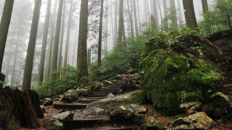 The Grouse Grind is seen in an undated file image. (Shutterstock) 