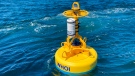 In this June 29, 2021, photo provided by Woods Hole Oceanographic Institution, an acoustic buoy floats in the water off the coast of Ocean City, Md. (Mark Baugartner/Woods Hole Oceanographic Institution via AP)