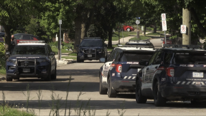 Multiple police vehicles are seen on Gildner Street in Kitchener on May 29, 2022. (Tyler Kelaher/CTV Kitchener)
