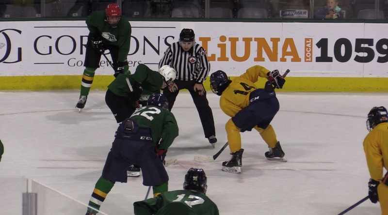 The London Knights hit the ice during their mini camp on June 4, 2022, where they gear up for the next season. (Brent Lale/CTV News London)