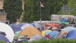 The Region of Waterloo has said there are over 60 tents and as many people at the encampment on Victoria Street in Kitchener. (CTV Kitchener)