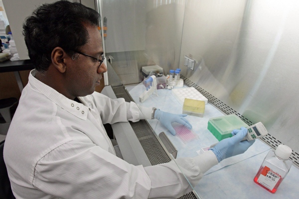 Senior research scientist Dr. Karuna Karunakaran works in the vaccine research lab at the British Columbia Centre for Disease Control during a demonstration for media following a news conference in Vancouver, B.C., on Thursday April 30, 2009. (THE CANADIAN PRESS/Darryl Dyck)