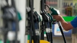 A driver picks up a nozzle to fill up his car with fuel on Thursday, June 9, 2022. (AP Photo/Frank Augstein) 