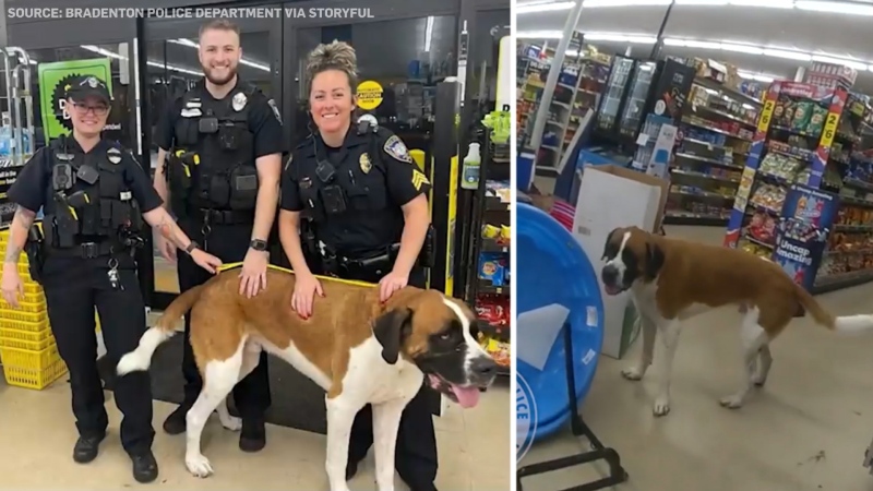 Police called to remove 135-pound dog from store