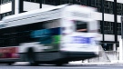 An STO bus travels down a street in Ottawa, Ont. in this undated photo.  (Photo by Parham Barati on Unsplash)