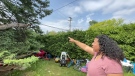 Jacqueline Orellana showing the tree on the power line in her backyard. Orellana says she can't get a hold of the landlord to make repairs to the home and restore power. (Dave Charbonneau/CTV News Ottawa)