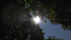 Manitoba issued a heat advisory on May 25, noting the temperature is expected to rise above 30 C . (CTV News File Photo)