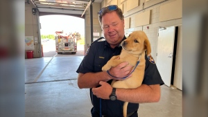 Murphy is held by a firefighter. (Derek Haggett/CTV News)