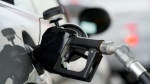 A motorist dispenses gasoline from a pump at a Shell station, Saturday, May 28, 2022, in Commerce City, Colo. (AP Photo/David Zalubowski) 