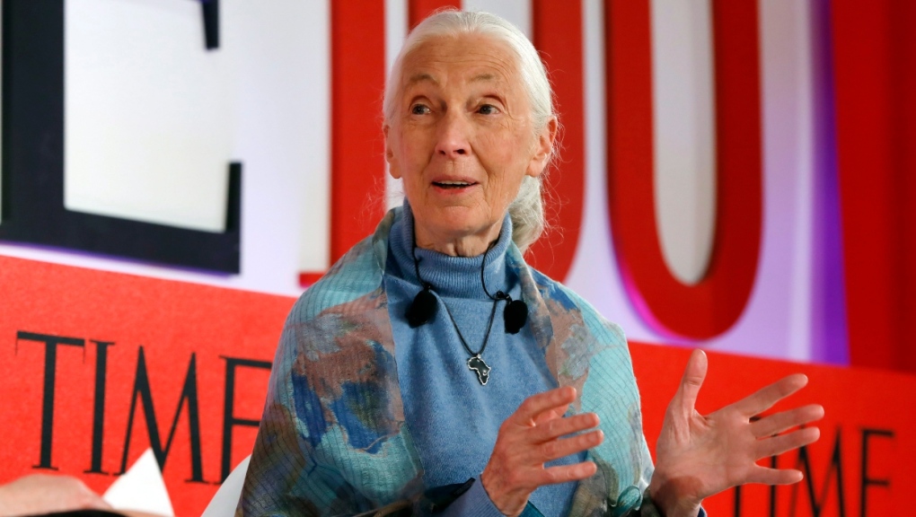 Jane Goodall, TIME 100 Summit, New York