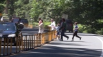 Pedestrians cross through traffic at Cathedral Grove, near Port Alberni, B.C. (CTV News)