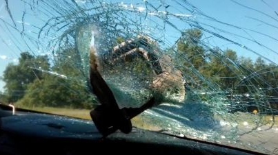 winch windshield highway 403 muir woodstock crash