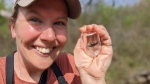 Biologist Jessica Linton holds a mottled duskywing discovered at the Pinery Provincial Park in May. (Submitted/University of Guelph)