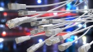 Close up photo of white ethernet cables. (Manuel Geissinger/Pexels)