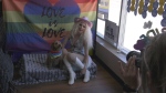 Drag queen Cleo Stevens posting with a dog at Renfrew Pride's dog wash and pride photo shoot on Saturday. (Dylan Dyson/CTV News Ottawa)