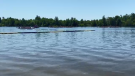 The Ottawa Dragon Boat Festival at Mooney's Bay. (Natalie van Rooy/CTV News Ottawa)