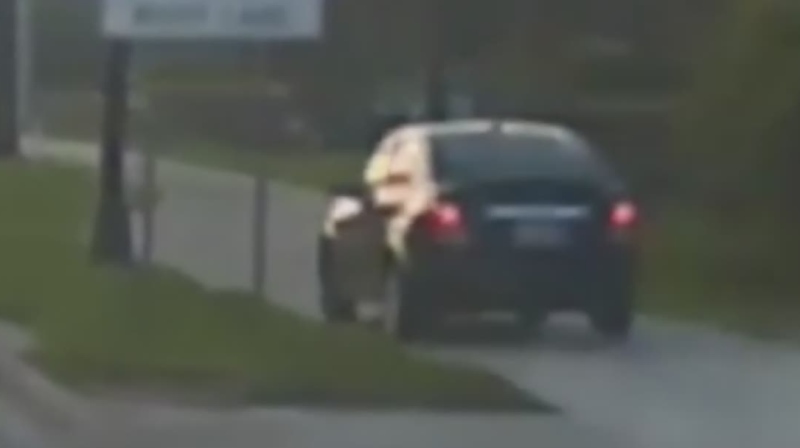 WATCH: Florida driver mounts sidewalk