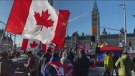Canada's flag becoming a political football