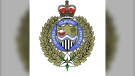 The crest of the Sarnia Police Service. (Source: Sarnia Police Service/Facebook)