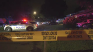 Two people were stabbed to death and another died after an "interaction with police" on Anoka Street in Ottawa Monday night. (CTV News Ottawa)