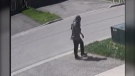 A suspect who allegedly sexually assaulted a 91-year-old woman in Vaughan last month is shown in this surveillance camera image. (York Regional Police)