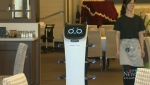 The May Garden Chinese Restaurant in Bedford, N.S., has introduced "Bella" -- a robot that helps deliver customers’ orders to their tables -- to its team.