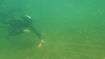 Four employees of Parks Canada and four members of the Coalition of First Nations recently completed a spearfishing course at Riding Mountain National Park. (Image Source: Parks Canada)